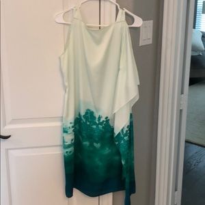 Calvin Klein midi dress